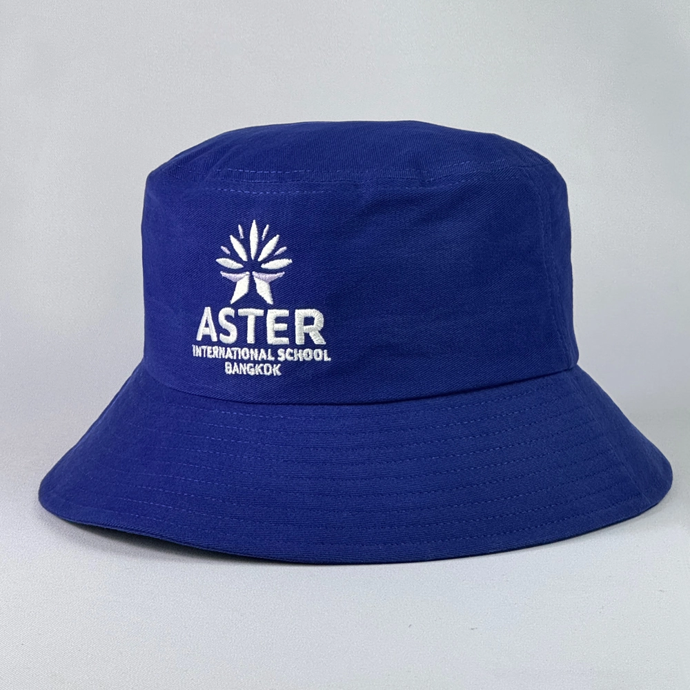 BK-101-02 : หมวก ASTER